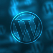 Die Vorteile von Wordpress