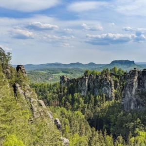 MGT-Sachsen